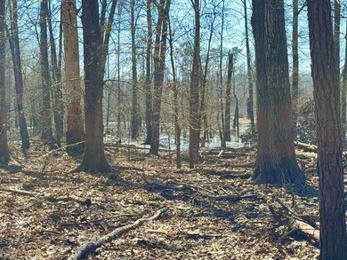 Experience lake living at its best with this brand-new barndo - photo 21