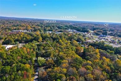 Lake Lot Sale Pending in Seneca, South Carolina