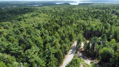 These individual subdivision lots are what you've been waiting - photo 11