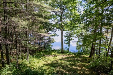 Great building site on Horsehead Lake! .73 Acre Lot with 73' of - photo 12