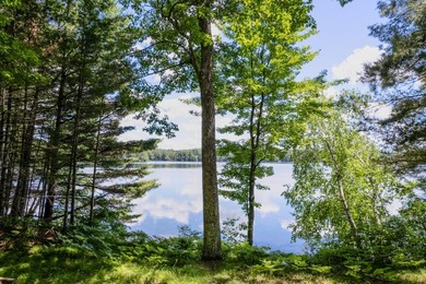 Great building site on Horsehead Lake! .73 Acre Lot with 73' of - photo 14