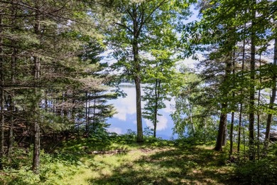 Great building site on Horsehead Lake! .73 Acre Lot with 73' of - photo 15