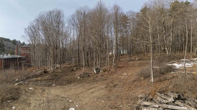 Great opportunity with 4.44 acres in Newport offering scenic - photo 4