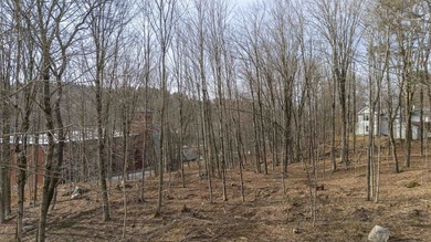 Great opportunity with 4.44 acres in Newport offering scenic - photo 5