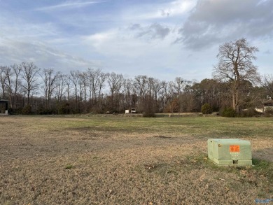 Lake Lot For Sale in Athens, Alabama