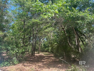 (private lake, pond, coastal) Lot For Sale in Summerdale Alabama
