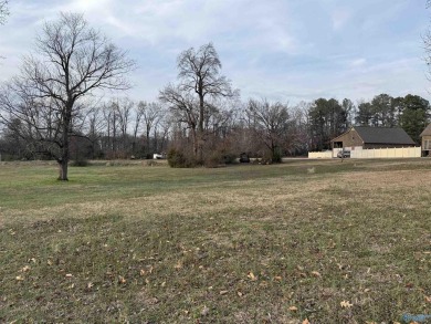 Lake Lot For Sale in Athens, Alabama