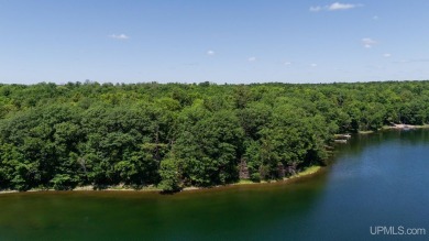 Lake Acreage For Sale in Crystal Falls, Michigan