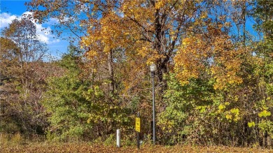 Lake Lot For Sale in Anderson, South Carolina