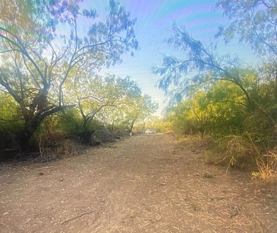 (private lake, pond, creek) Lot For Sale in Eagle Pass Texas