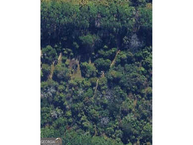 Lake Linda Lot For Sale in Cochran Georgia