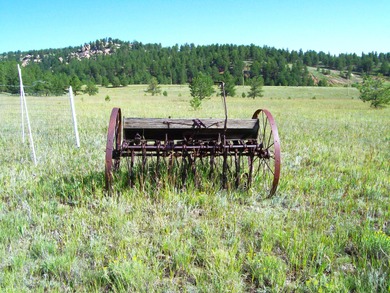 (private lake, pond, creek) Acreage For Sale in Florissant Colorado