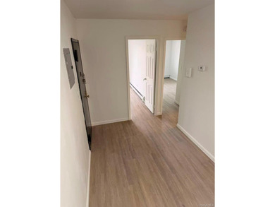 Newly renovated 1-bedroom condo with a spacious living room and - photo 4