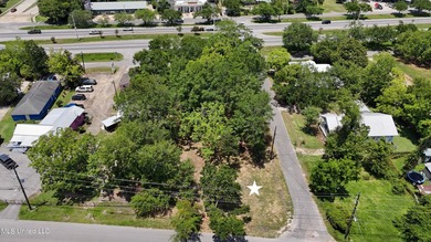 Explore the possibilities with this 1/2 acre acre commercial lot - photo 1