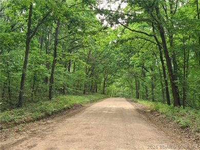 Featuring five acres of wooded privacy and a rustic cabin. Enjoy - photo 4