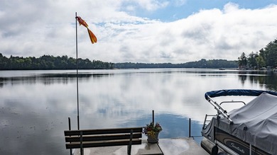 Enjoy lakefront living at its finest with this exceptional - photo 48