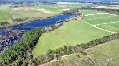 Lake Acreage For Sale in Elberta, Alabama