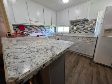 (private lake, pond, creek) Home For Sale in St.Petersburg Florida