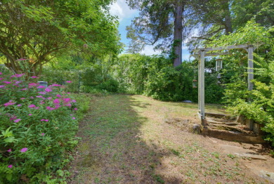 Classic Cottage at Lake Hayward - photo 4