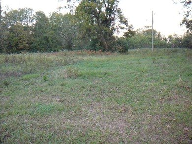 Lake Acreage For Sale in Calhoun Falls, South Carolina