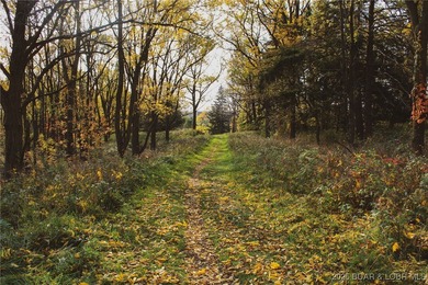 Lake of the Ozarks Acreage For Sale in Edwards Missouri