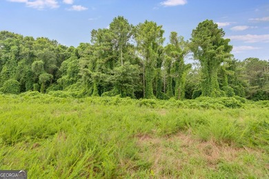 Builders looking for lots? This is it! 27 Residential Developed - photo 14