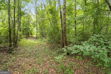Builders looking for lots? This is it! 27 Residential Developed - photo 18