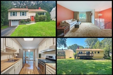 Lake Home For Sale in Rockaway Twp., New Jersey