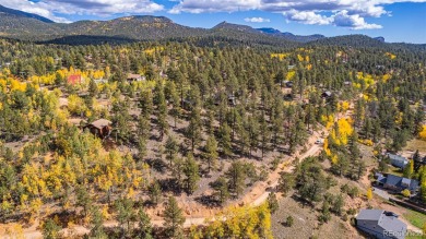 Lake Lot For Sale in Bailey, Colorado