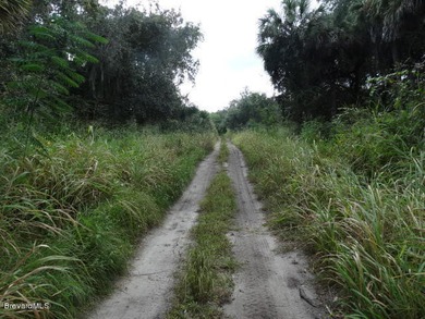 ((( AMAZING CANAVERAL GROVES LAKEFRONT PROPERTY! 2.71 ACRES OF - photo 8