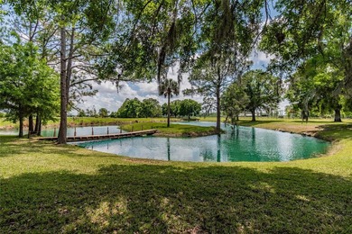 Set within 34+- acres of protected Florida ranchland, this - photo 5
