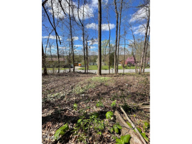 (private lake, pond, creek) Lot For Sale in Kingsport Tennessee