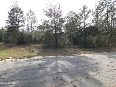 Blue Homestead Lake  Lot For Sale in Chipley Florida