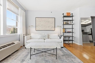 This is it! A sun-filled, south-facing, top-floor one-bedroom - photo 3