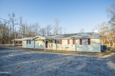 One level and spacious lakefront home situated on level - Lake Home For Sale in Ten Mile, Tennessee