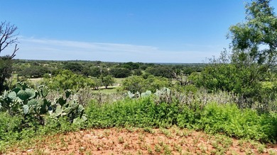 5.92 Acres with large custom home, in-ground pool, guest house - photo 41
