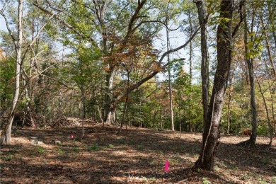 Lake Acreage For Sale in Sunset, South Carolina