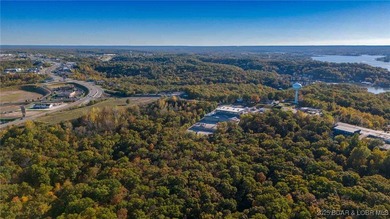 Taxes and Hwy dimensions are for all 3 lots. See - photo 3