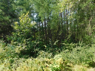 Call listing agent Amy Noble. . Whittemore's Real Estate, 108 - photo 13