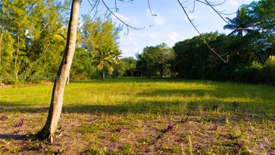 Rare opportunity to build a luxury custom estate in one of - photo 18
