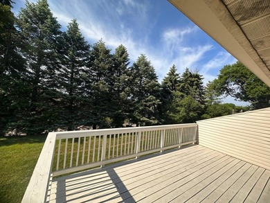 Woodpark 3 bedroom 2 bath Townhome light and airy. Many updates - photo 19