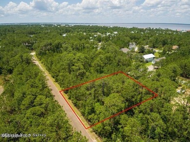 Double Lot on a quiet street close to the Schools. Located in an - photo 11