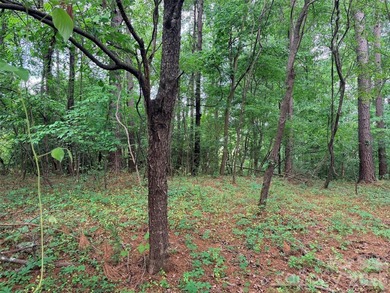 APPLE VALLEY GOLF COURSE---Beautiful Peninsula lot right on the - photo 4