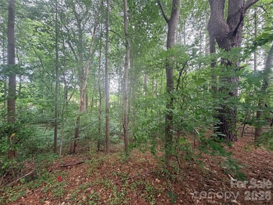 APPLE VALLEY GOLF COURSE---Beautiful Peninsula lot right on the - photo 7