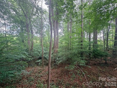 APPLE VALLEY GOLF COURSE---Beautiful Peninsula lot right on the - photo 8