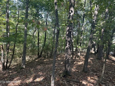  Lot Sale Pending in Loudon Tennessee