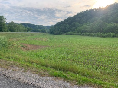 Cumberland River - Cumberland County Acreage For Sale in Burkesville, KY Kentucky