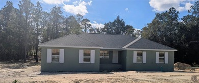 Bonable Lake Home For Sale in Dunnellon Florida