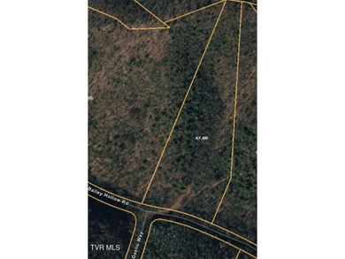 Nolichucky River Acreage For Sale in Erwin Tennessee