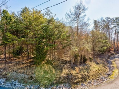 Build Your Cherokee Lake Retreat in a Gated Community SOLD - photo 9